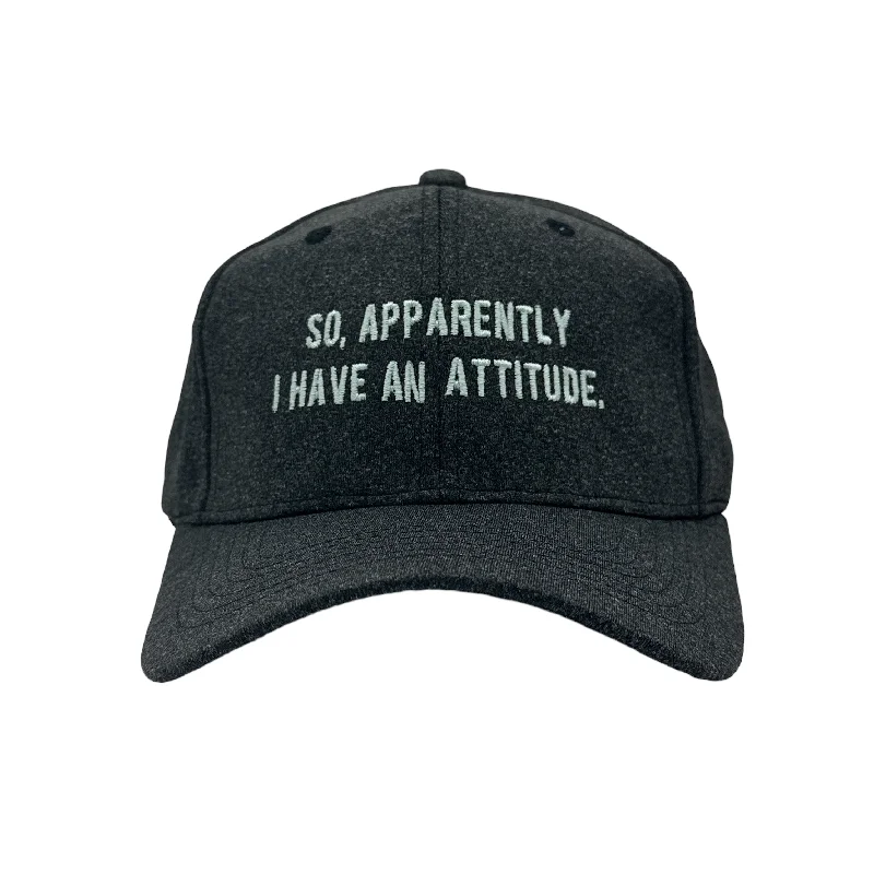 Hats For Birthday Parties-So Apparently I Have An Attitude