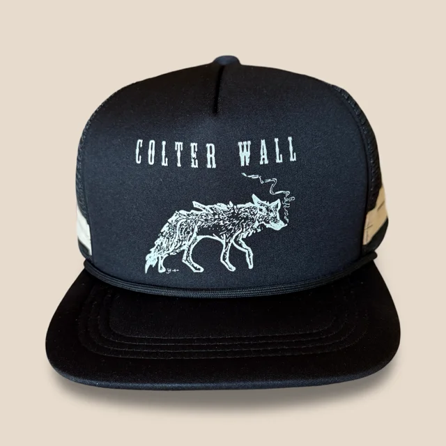 Hats For Baseball Fans-Colter Wall Imaginary Appalachia Album Series Trucker Hat